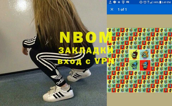 стаф Вязники